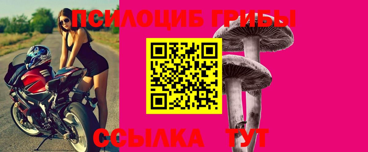 Галлюциногенные грибы GOLDEN TEACHER  Псилоцибиновые грибы Psilocybe  Вход с VPN  Волхов 